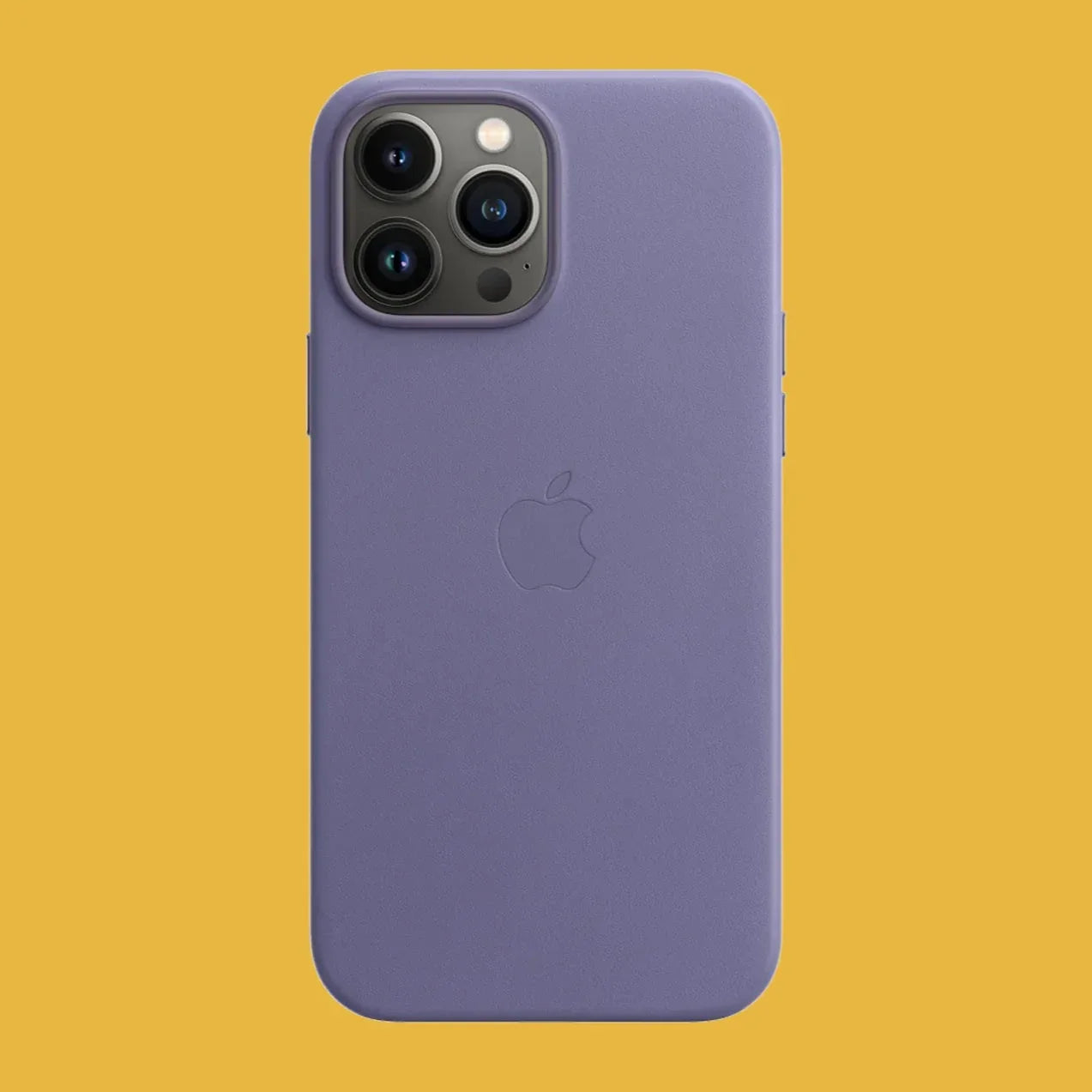 iPhone Pro Max